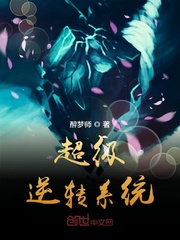 超级逆转系统封面