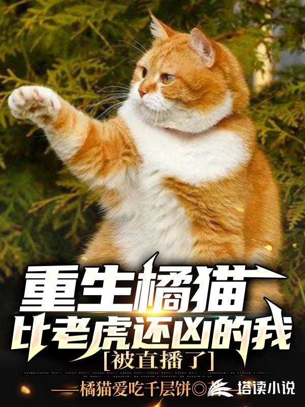 海贼：我是路飞的亲叔叔封面