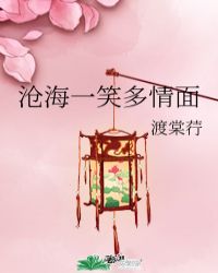 沧海一笑多情面封面