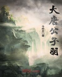 大唐公子羽封面