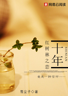 十年：红树林之恋封面