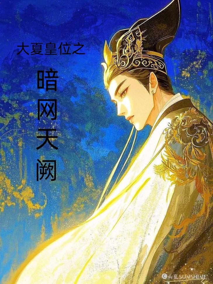 大夏皇位之暗网天阙封面