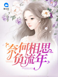 奈何相思负流年封面
