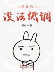 我真的没法低调封面