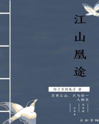 江山凰途封面