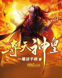 夺天神皇封面