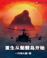 重生从骷髅岛开始封面