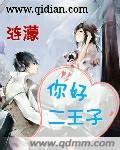 你好二王子封面