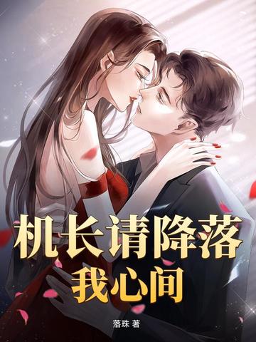 机长请降落我心间封面