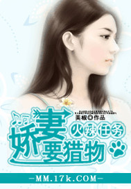 火辣任务：娇妻...封面