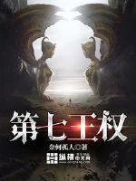 第七王权封面