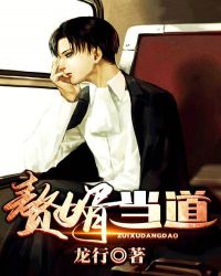 赘婿当道（又名：天降赘婿）封面
