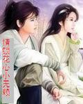 情锁花心小无赖封面