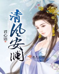 清风安澜封面