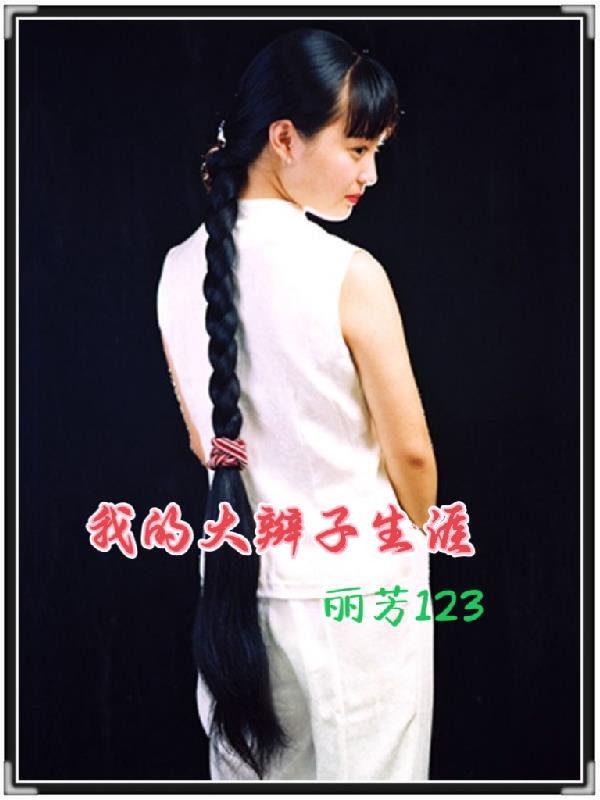 我的大辫子生涯封面