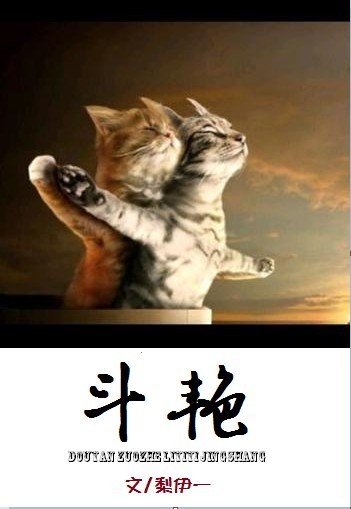 争奇，斗艳封面