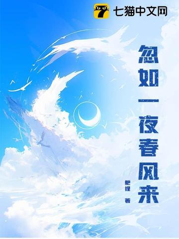 忽如一夜春风来封面