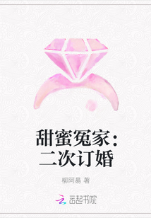 甜蜜冤家:二次订婚封面