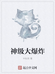 神级大爆炸封面