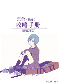 完全攻略手册封面