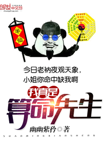 我真是算命先生封面