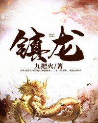 镇龙封面