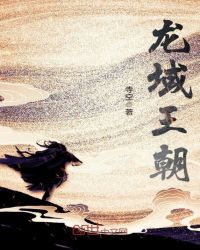 龙域王朝封面