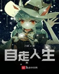 自走人生封面