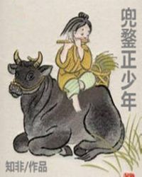 兜鍪正少年封面