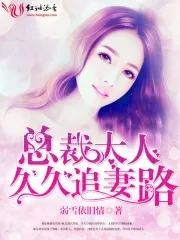 总裁大人，久久追妻路封面