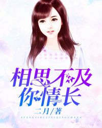 相思不及你情长封面