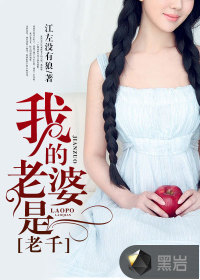 我的老婆是老千封面