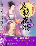 衣锦夜游封面