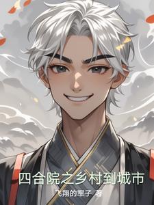 四合院之乡村到城市封面