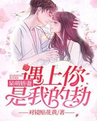 呆萌娇妻：遇上你是我的劫封面