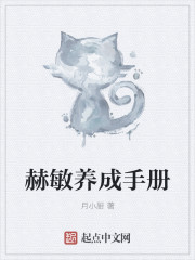 赫敏养成手册封面