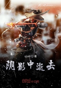 阴影中逝去封面