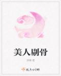 美人剔骨封面