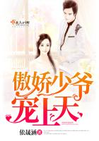 傲娇少爷宠上天封面