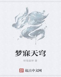 梦寐天穹封面