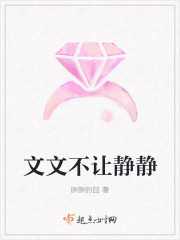 文文不让静静封面