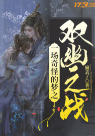 一场奇怪的梦之双幽之战封面