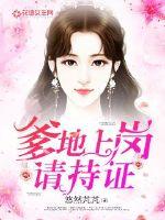 爹地上岗请持证封面