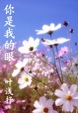 你是我的眼封面