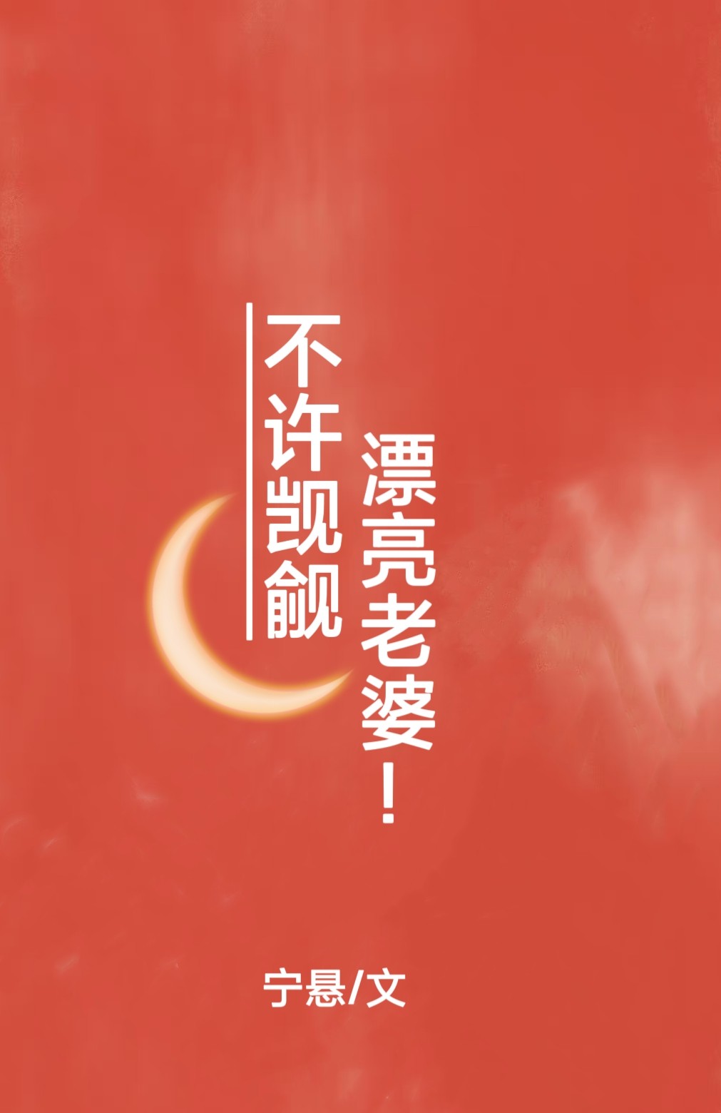 不许觊觎漂亮老婆封面