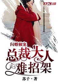 闪婚独宠：总裁大人难招架封面