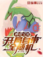 神奇宝贝：开局自带全随机封面