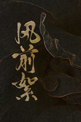 风前絮封面