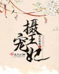 摄宠王妃封面