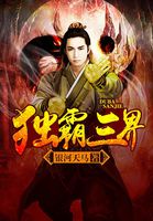 独霸三界封面